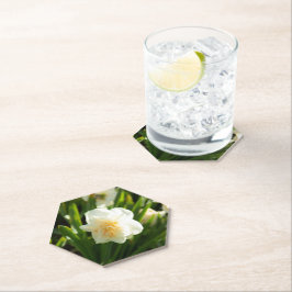 Grote witte vlekken op een lentedag kartonnen onderzetters