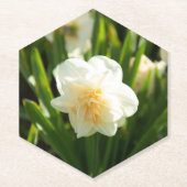 Grote witte vlekken op een lentedag kartonnen onderzetters (Voorkant)