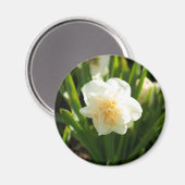 Grote witte vlekken op een lentedag magneet (Voorkant / Achterkant)