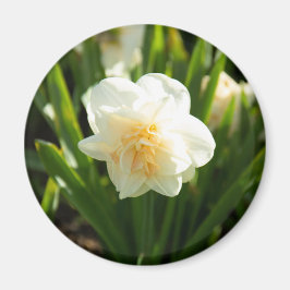 Grote witte vlekken op een lentedag magneet