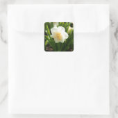 Grote witte vlekken op een lentedag vierkante sticker (Tas)