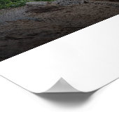 Grote Wolf van de Rocky Mountains Poster (Hoek)