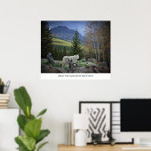 Grote Wolf van de Rocky Mountains Poster (Thuiskantoor)