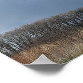 Grote wolk boven Poster (Hoek)