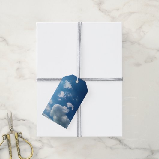 Grote wolk cadeaulabel (Met Touw)