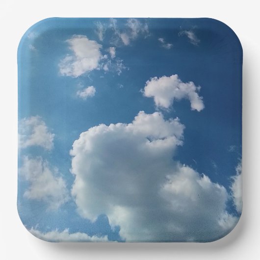 Grote wolk papieren bordje (Voorkant)