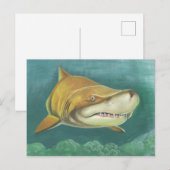 grote zandhaai briefkaart (Voorkant / Achterkant)