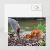 Grote zandkraan vader en kind briefkaart (Voorkant / Achterkant)