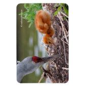 Grote zandkraan vader en kind magneet (Verticaal)