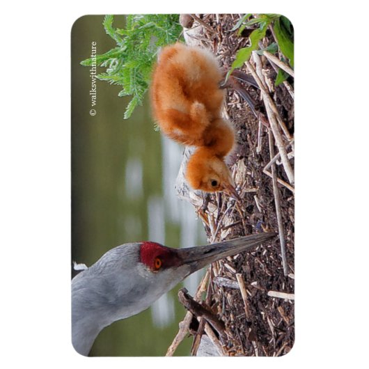 Grote zandkraan vader en kind magneet (Verticaal)