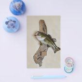 grote zeebaars flyer (Enkel)