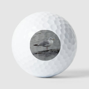 Grote zeemeeuw golfballen