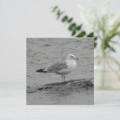 Grote zeemeeuw Plat kaart (Staand voorkant)