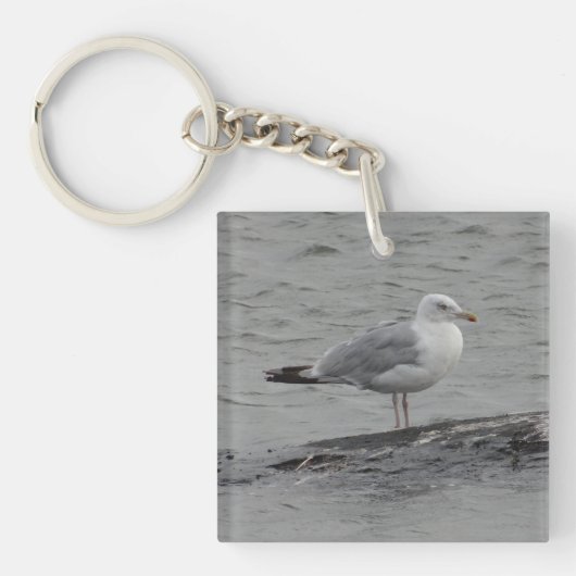 Grote zeemeeuw sleutelhanger (Voorkant)