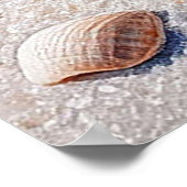 Grote zeeschelp op een ongerept zandstrand poster (Hoek)