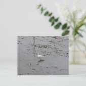 Grote Zilverreiger Briefkaart (Staand voorkant)