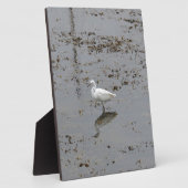 Grote Zilverreiger Fotoplaat (Zijkant)