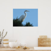 Grote Zilverreiger in zonnig Florida Poster (Keuken)