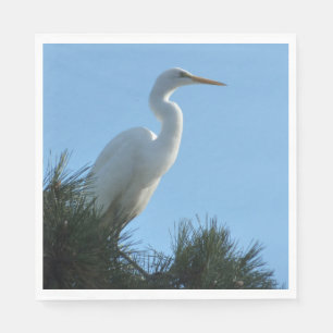 Grote Zilverreiger in zonnig Florida Servet