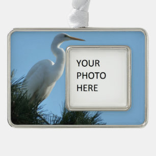 Grote Zilverreiger in zonnig Florida Verzilverd Omlijst Ornament