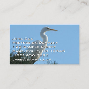 Grote Zilverreiger in zonnig Florida Visitekaartje