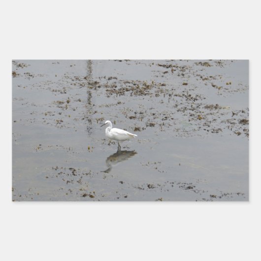 Grote Zilverreiger Rechthoekige Sticker (Voorkant)