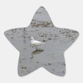 Grote Zilverreiger Ster Sticker