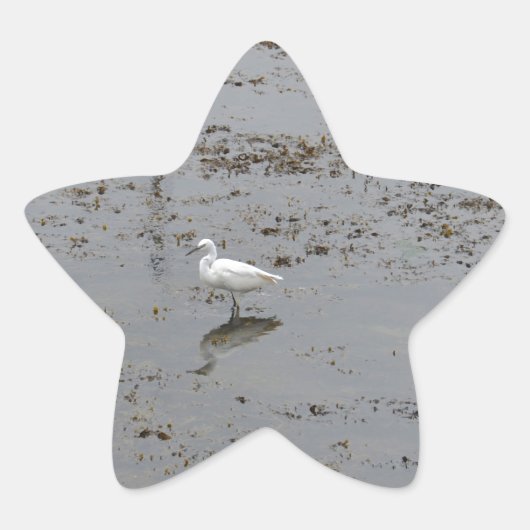 Grote Zilverreiger Ster Sticker (Voorkant)