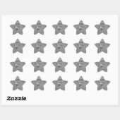 Grote Zilverreiger Ster Sticker (Vel)