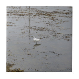 Grote Zilverreiger Tegeltje