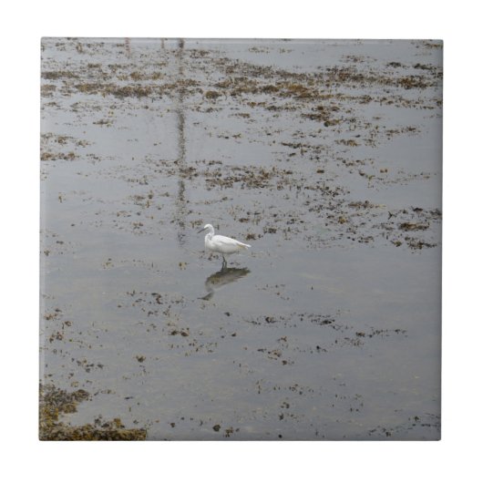 Grote Zilverreiger Tegeltje (Voorkant)