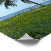 Grote Zilverreiger, Treasure Cay, Great Abaco Isla Poster (Hoek)