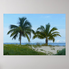 Grote Zilverreiger, Treasure Cay, Great Abaco Isla Poster