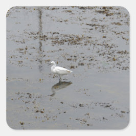 Grote Zilverreiger Vierkante Sticker