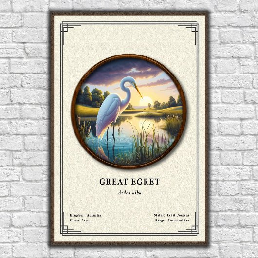 Grote Zilverreiger Zoölogie Serie Poster