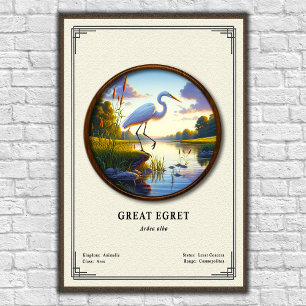Grote Zilverreiger Zoölogische Serie Poster