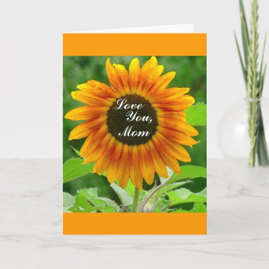 GROTE ZONNEBLOEM / HOU VAN JE, MAM KAART (Voorkant)