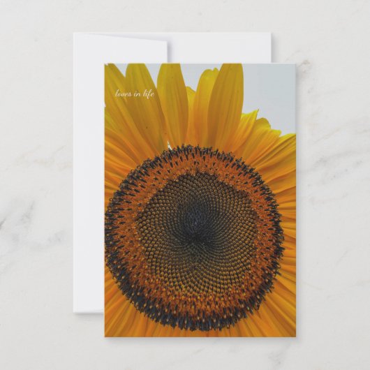 Grote zonnebloem notitiekaartje (Voorkant)
