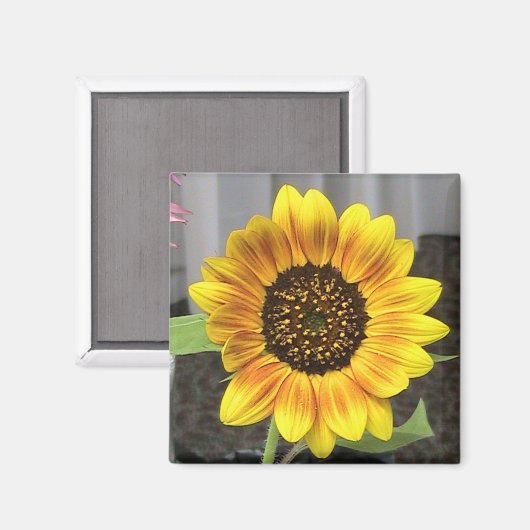 Grote Zonnebloem ontwerp - rond of vierkant Magneet (Voorkant / Achterkant)