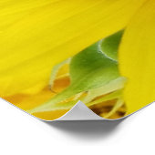 Grote zonnebloem poster (Hoek)