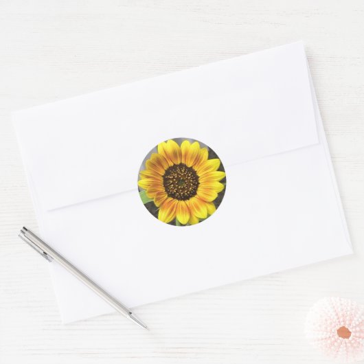 Grote Zonnebloem Rond Ronde Sticker (Envelop)