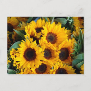 Grote zonnebloemen briefkaart
