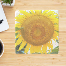 Grote zonnebloemen stenen onderzetter