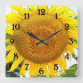 Grote zonnebloemen vierkante klok (Voorkant)