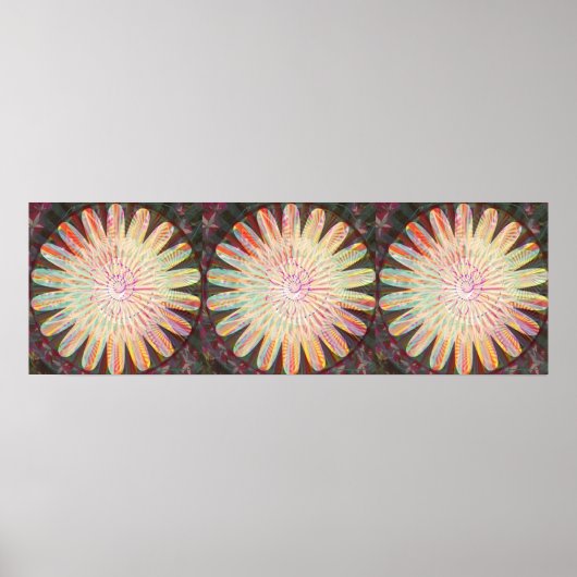 Grote zonnebloempitten 3 poster (Voorkant)