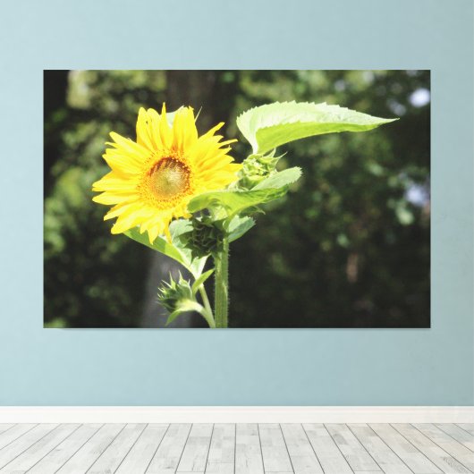 Grote Zonnige Zonnebloem Canvas Afdruk (Insitu (Houten vloer))