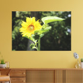 Grote Zonnige Zonnebloem Canvas Afdruk (Insitu (Woonkamer))