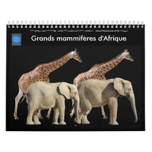 Grote zoogdieren in Afrika 12-maands kalender