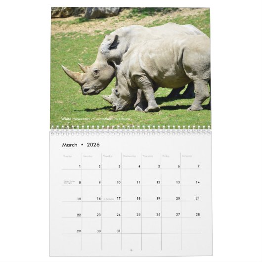 Grote zoogdieren in Afrika 12-maands kalender (Mar 2026)