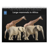 Grote zoogdieren in Afrika 12-maands kalender (Hoes)